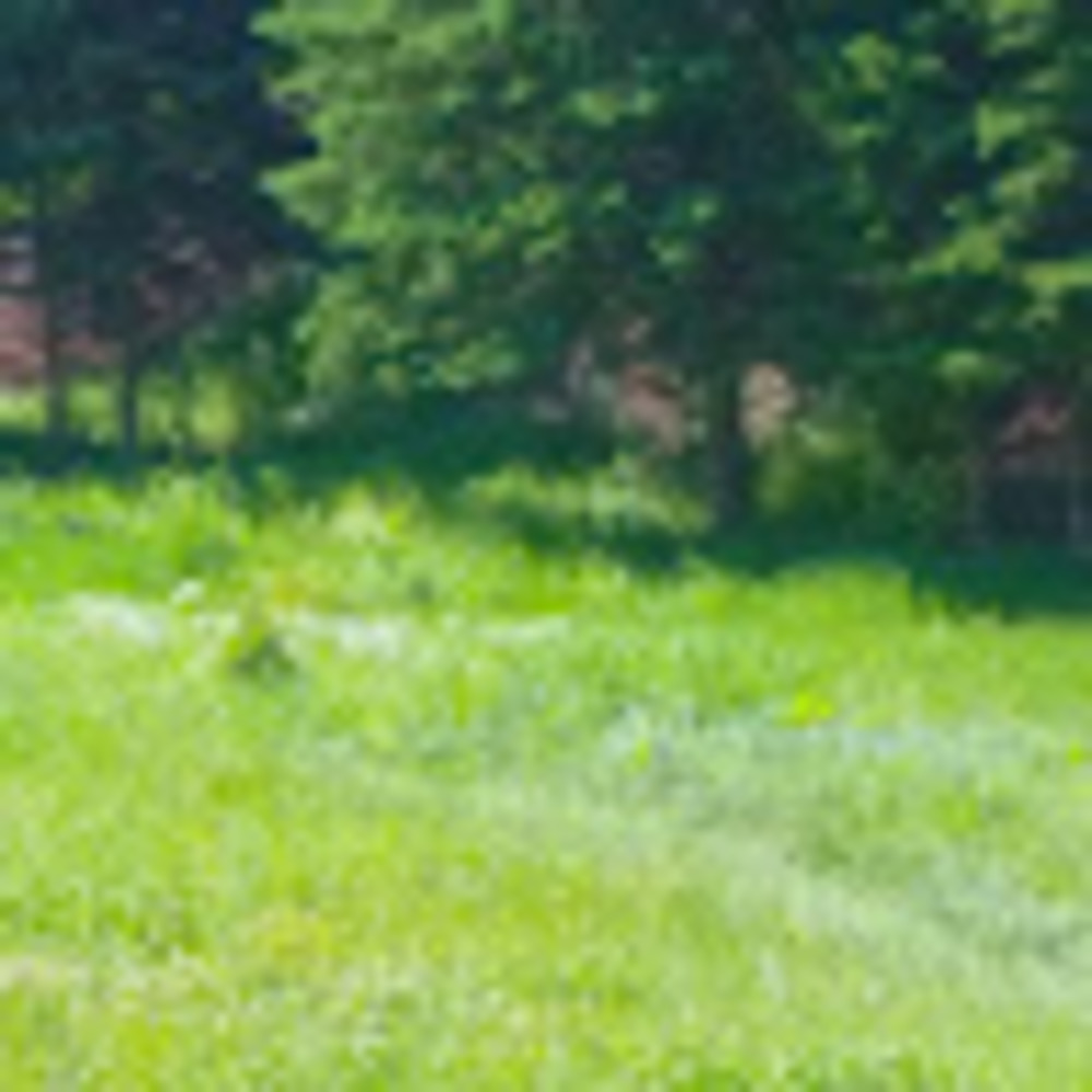 Meet your Posher, Eunju